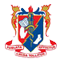 SMAE logo